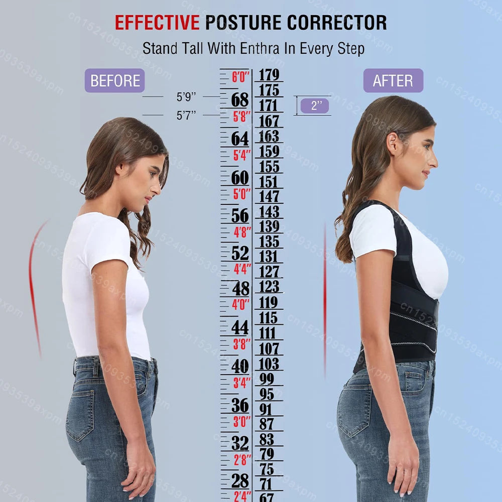 Ceinture de posture dorsale