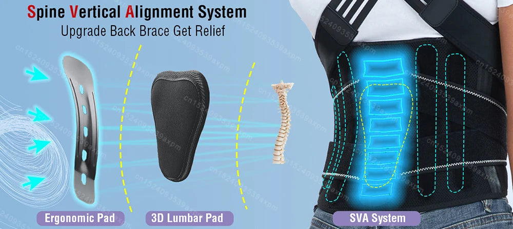 Ceinture de posture dorsale